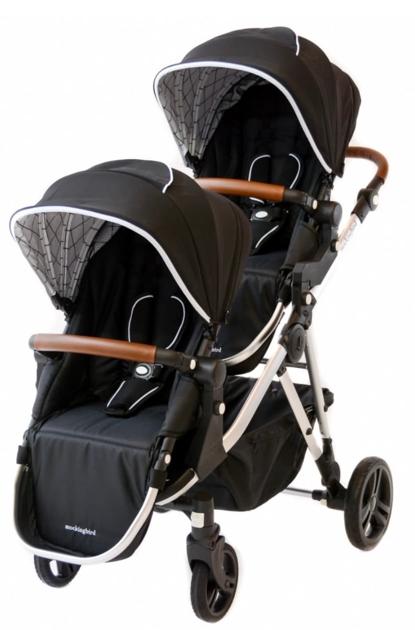 Double Stroller 2